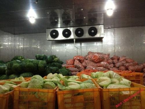 Cold Storage for Fruits and Vegetables