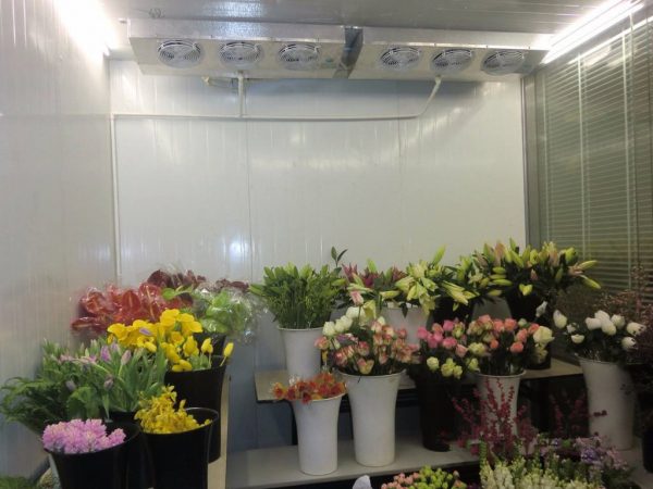 Flower Cold Room,flower cold storage,LIGFROZEN could room