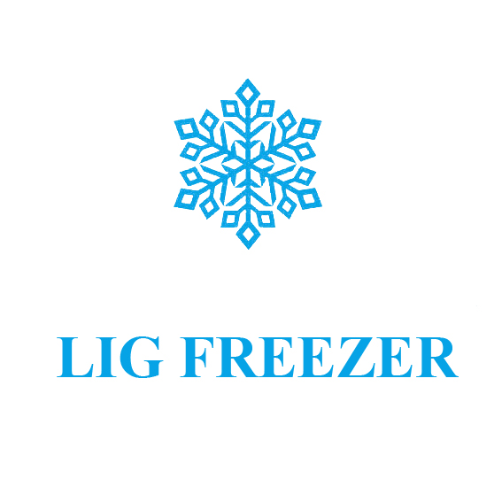 Ligfreezer